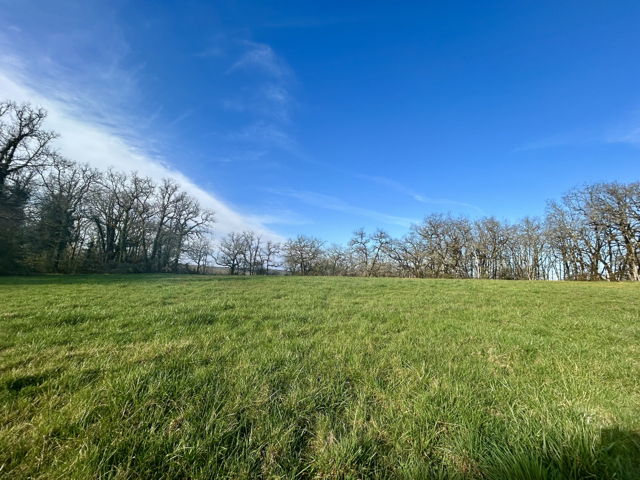 Terrain - 7090 m2 - Cressensac-Sarrazac
